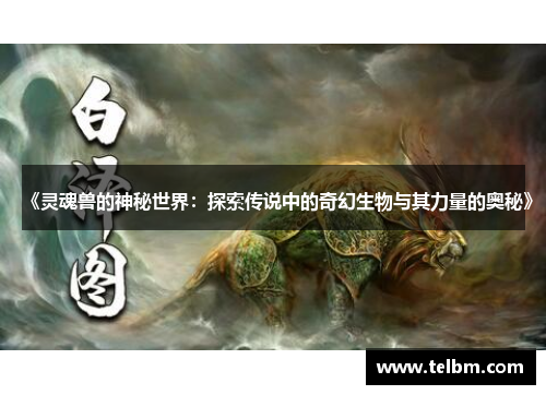 《灵魂兽的神秘世界：探索传说中的奇幻生物与其力量的奥秘》