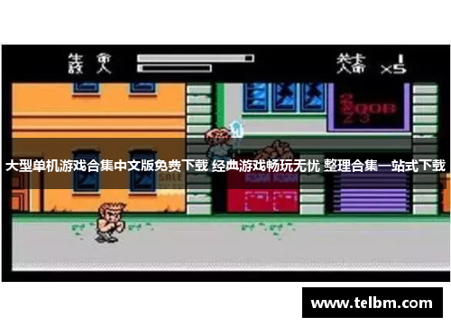 大型单机游戏合集中文版免费下载 经典游戏畅玩无忧 整理合集一站式下载